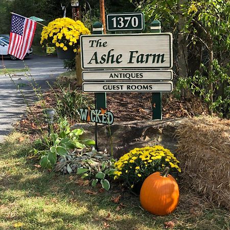 Bed and Breakfast The Ashe Farm Marshall Esterno foto