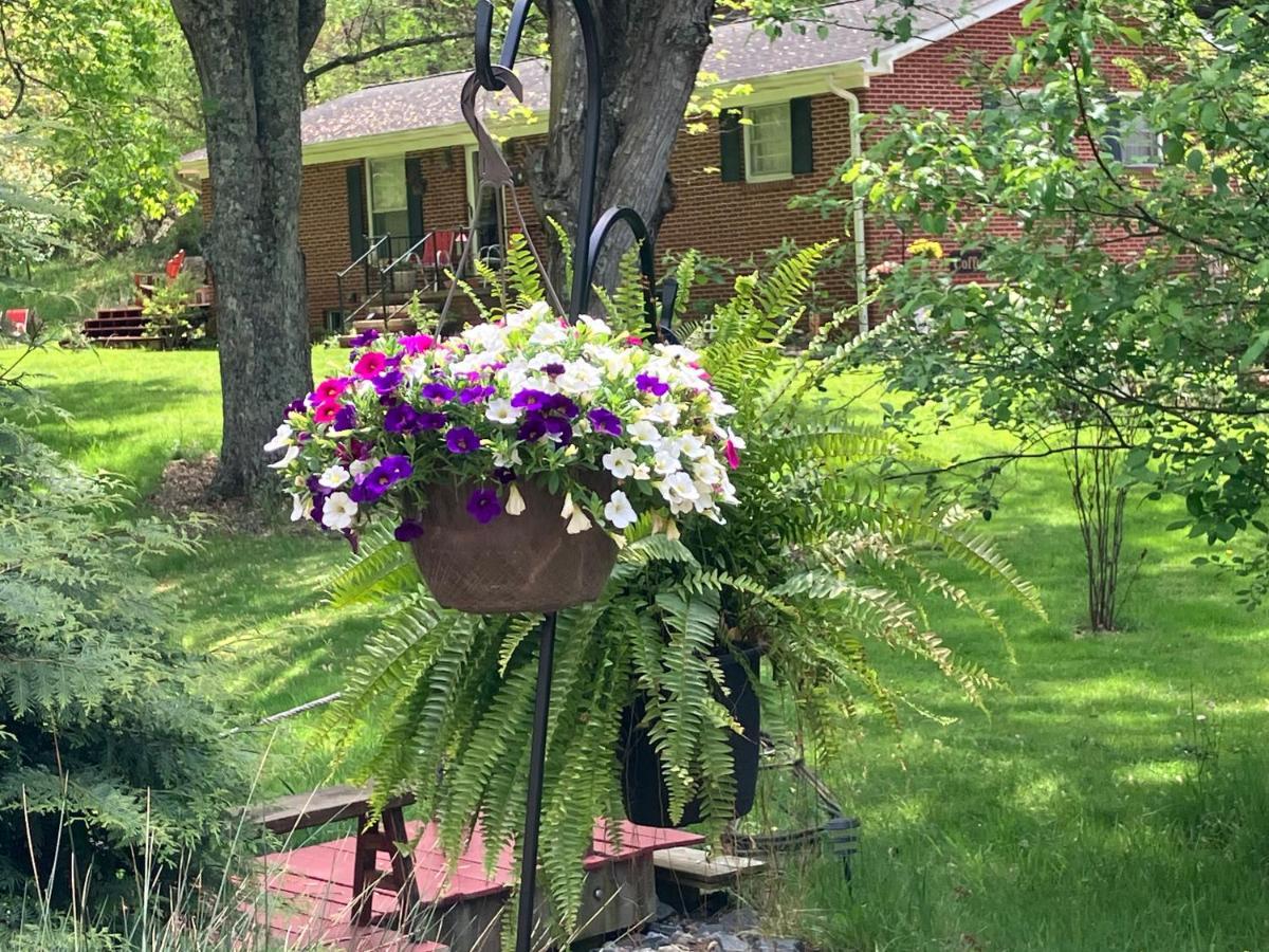 Bed and Breakfast The Ashe Farm Marshall Esterno foto