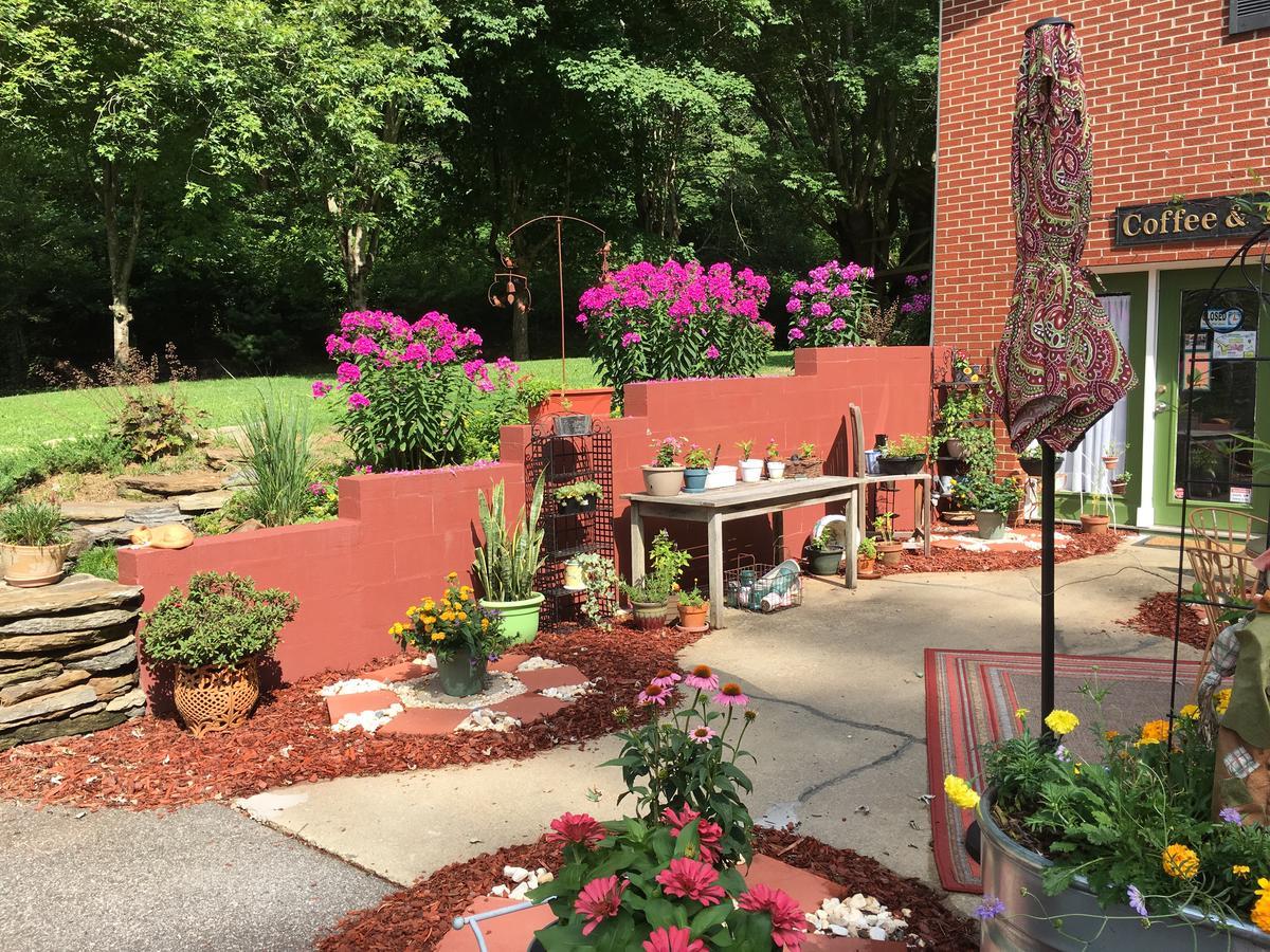 Bed and Breakfast The Ashe Farm Marshall Esterno foto