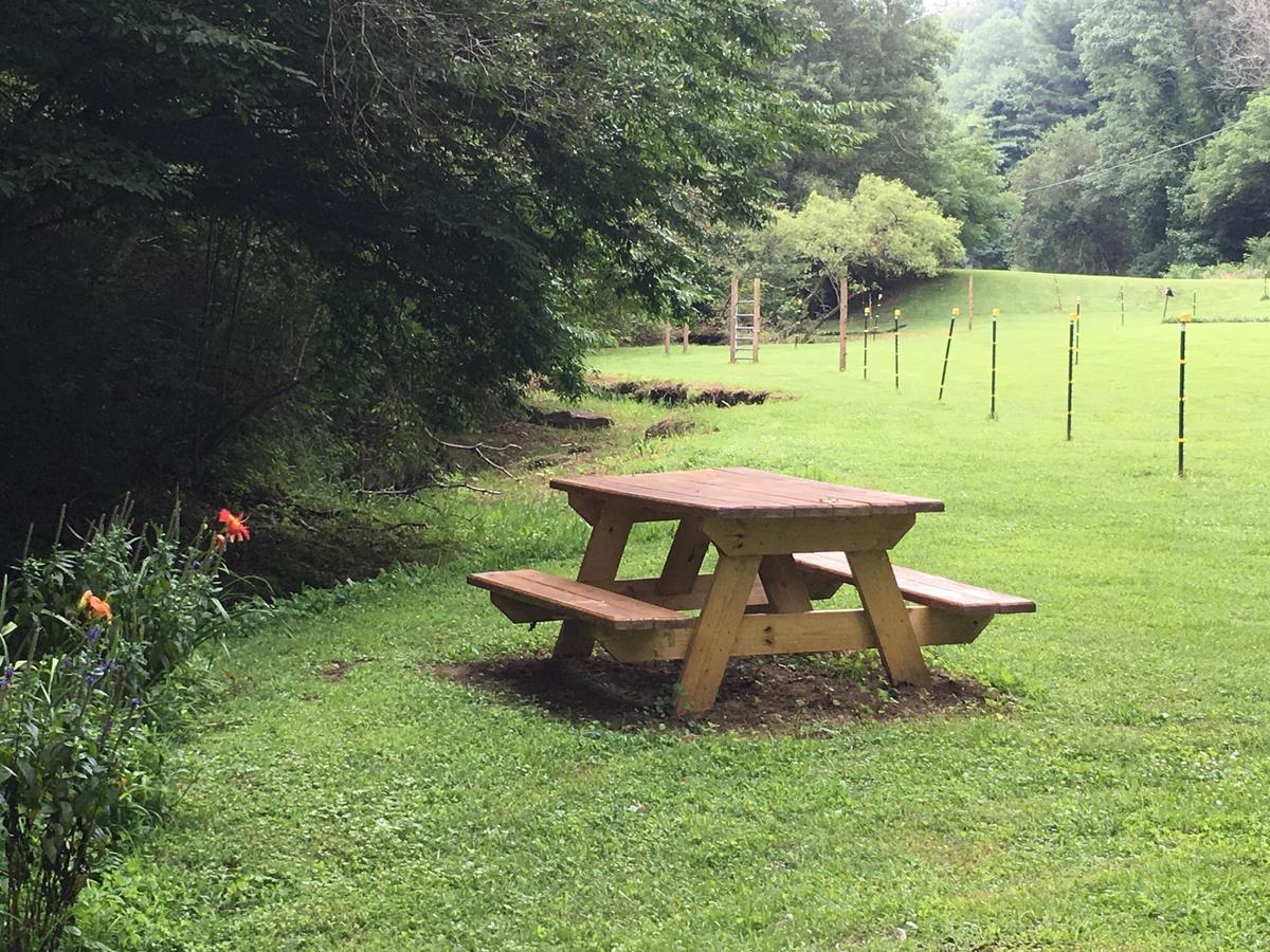 Bed and Breakfast The Ashe Farm Marshall Esterno foto