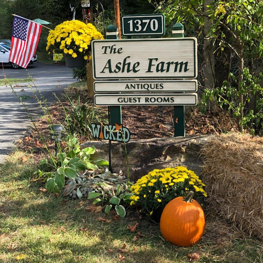 Bed and Breakfast The Ashe Farm Marshall Esterno foto